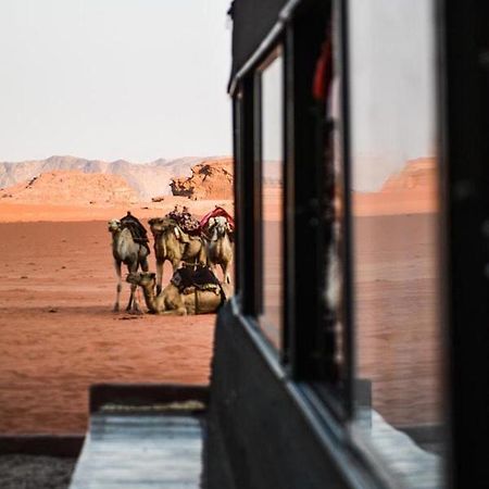 Desert Shine Camp Ram Vadisi Dış mekan fotoğraf