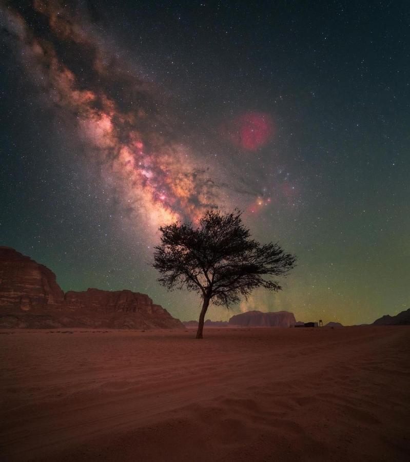 Desert Shine Camp Ram Vadisi Dış mekan fotoğraf