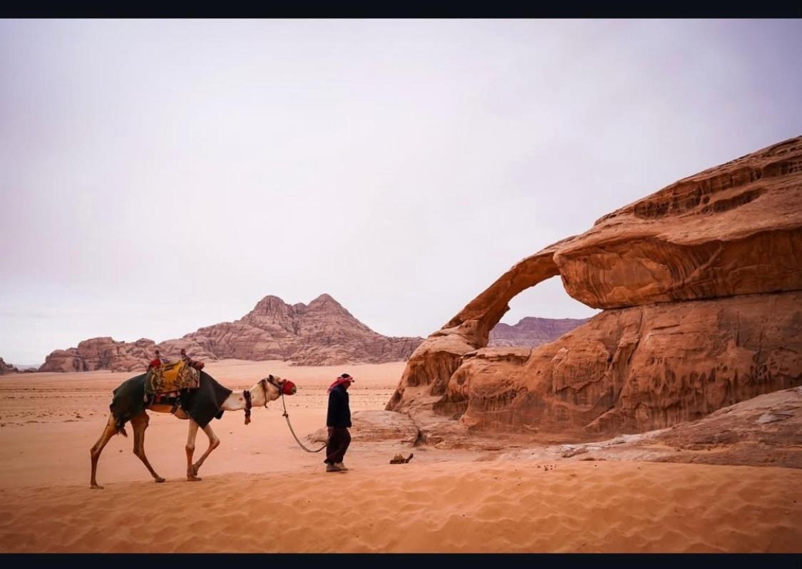 Desert Shine Camp Ram Vadisi Dış mekan fotoğraf