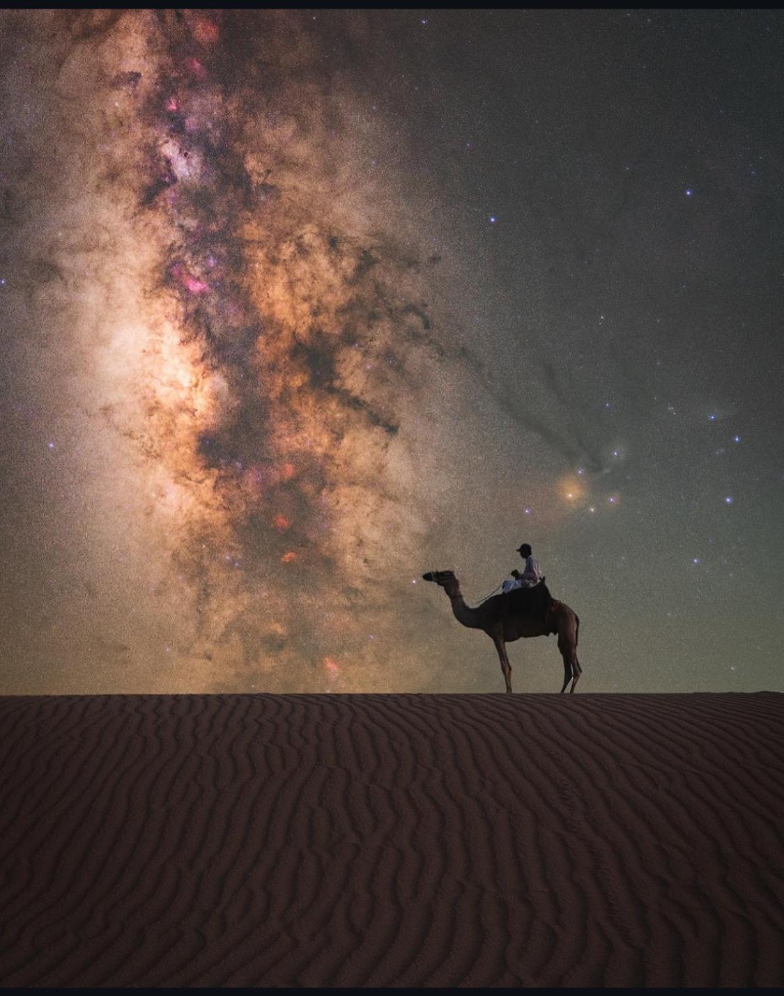 Desert Shine Camp Ram Vadisi Dış mekan fotoğraf